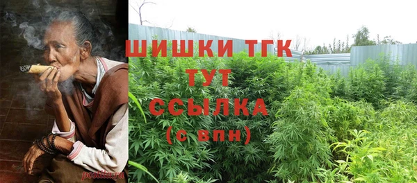 гидра Белоозёрский