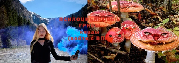 скорость Белокуриха