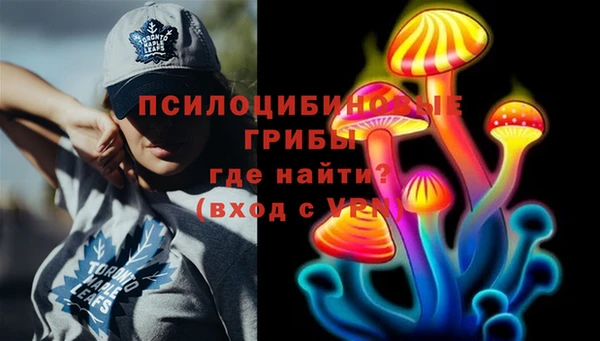 гидра Белоозёрский