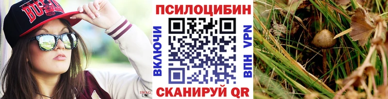 кракен как войти  Мглин  Галлюциногенные грибы MAGIC MUSHROOMS 